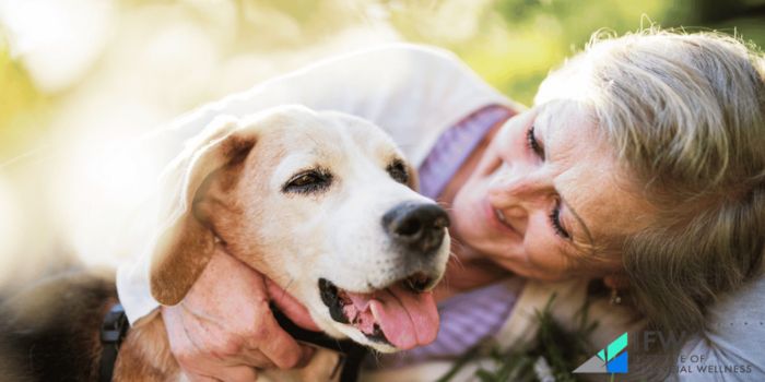 Dogs are the Perfect Pets for Retirement
