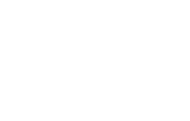 Image Services term Life