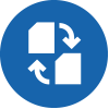 Icon Convertible Options